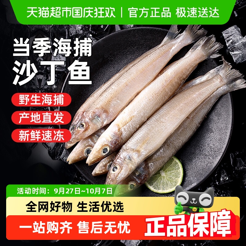 遇上鲜舟山大号沙丁鱼海鲜