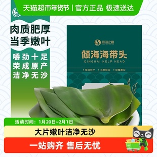 倾海之宴 荣成日晒干海带头精选新海带肉质肥厚轻食煲汤火锅配菜