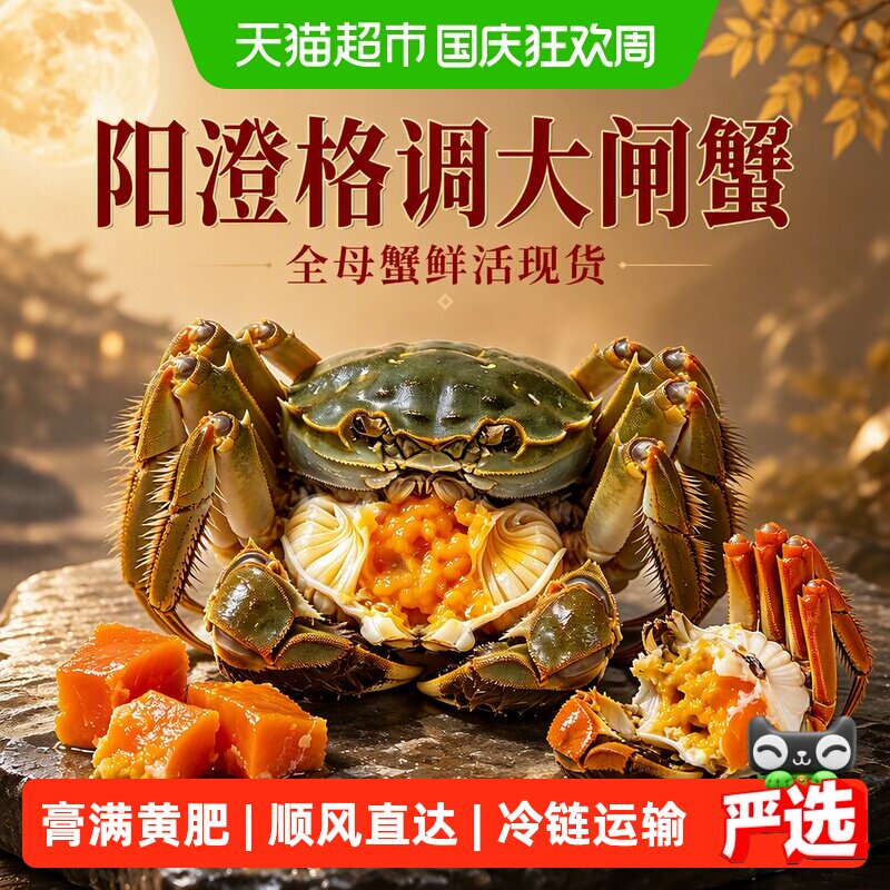 阳澄格调大闸蟹全母蟹鲜活螃蟹