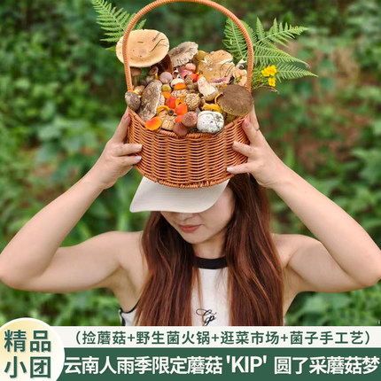 西双版纳大渡岗捡菌体验科普小团一日游 菜市场奇猎  野生菌火锅