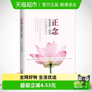 力作 美国畅销心理图书 减压之父乔卡巴金经典 正念此刻是一枝花