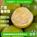 广西皇帝柑应当季 新鲜水果甜蜜薄皮橘小桔子整箱贡柑大果