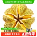 水果发鲜果勿生切 现货 榴莲泰国新鲜金枕榴莲顺丰 包邮