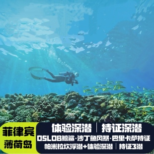 自营专业潜店：沙丁鱼深潜|鲸鲨深潜|巴里卡萨深潜|帕米拉坎深潜