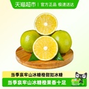 NEWDIVIDE云南玉溪冰糖橙现摘现发薄皮多汁橙子当季 哀牢山手剥橙