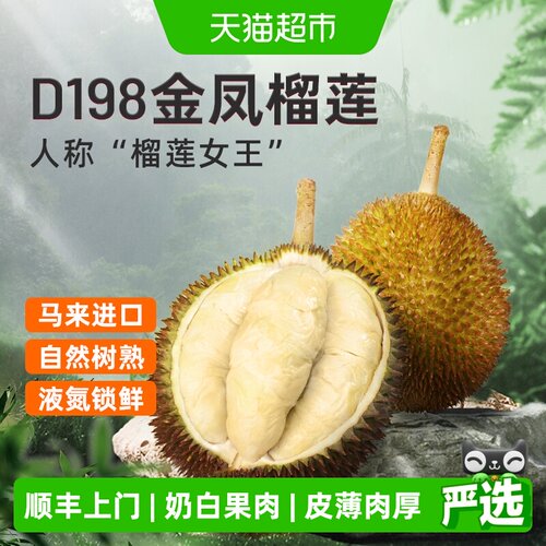 市舶士马来西亚金凤液氮冻果醇厚