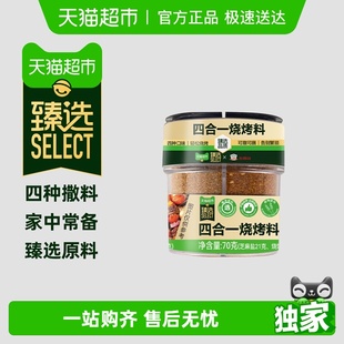 臻选吉得利四合一烧烤料70g万能烧烤烤肉撒料孜然辣椒椒盐粉