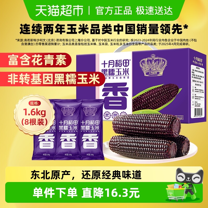 十月稻田东北鲜食黑糯玉米