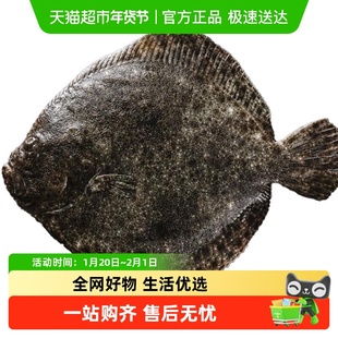 渔传播【冰鲜发货】鲜活三去大连多宝鱼  活鱼现杀海鲜顺丰次日达