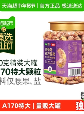 【臻选】每果时光A170新货紫衣腰果原味带皮坚果孕妇炒货零食