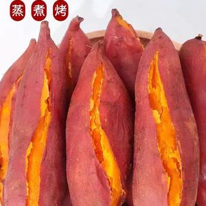 农家自种西瓜红蜜薯沙地现挖糖心红薯粉糯小香薯新鲜地瓜