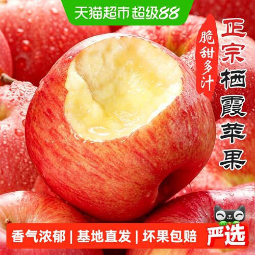 于甄鲜栖霞红富士当季脆甜多汁