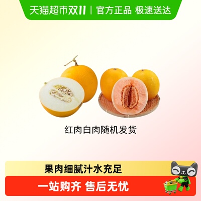 我有果果脆甜爽口民勤蜜瓜