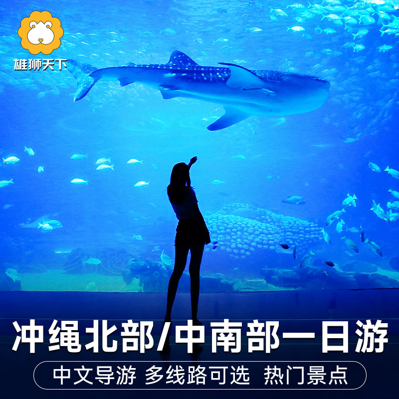 日本冲绳一日游观鲸北部南部万座毛美丽海水族馆濑长岛知念呷公园