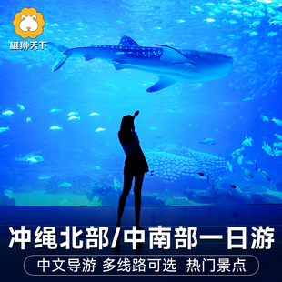日本冲绳一日游观鲸北部南部万座毛美丽海水族馆濑长岛知念呷公园