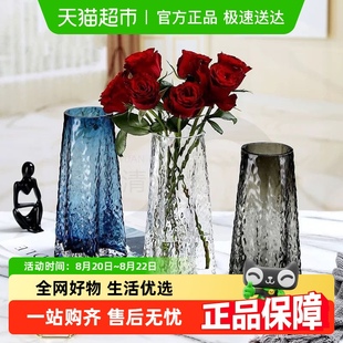 饰花瓶 浮雕玻璃花瓶高级感ins风简约透明水培花瓶鲜花客厅插花装