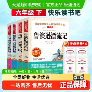 快乐读书吧六年级下册全套汤姆索亚历险记鲁滨逊漂流记骑鹅旅行记
