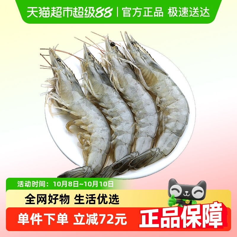 北海湾青岛大虾无冰新鲜
