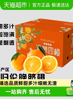 湖北秭归伦晚脐橙三峡边的新鲜应季香甜多汁时令鲜橙子