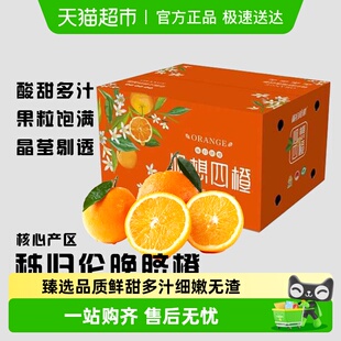 湖北秭归伦晚脐橙三峡边 香甜多汁时令鲜橙子 新鲜应季