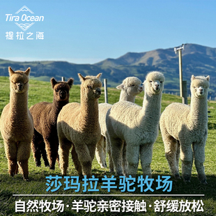 [莎玛拉羊驼牧场-大门票]新西兰基督城阿卡罗阿莎玛拉羊驼