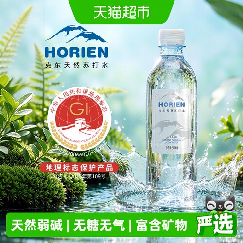 HORIEN/活力恩苏打水500ml*12瓶