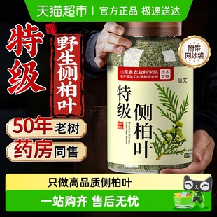 侧柏叶干新鲜中药材生发养发专用纯植物草本育发洗头发包防泡酒脱