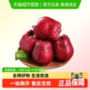 甘肃天水花牛苹果水果新鲜当季 整箱红蛇大圣诞平安果粉面