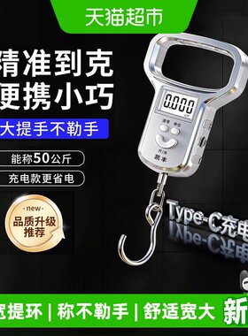 凯丰便携手提秤背光显示精准