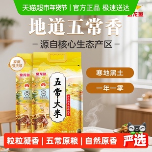 金龙鱼五常大米5kg*2袋粒粒凝香 东北大米