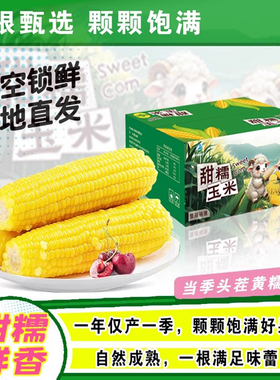 开源保丰东北黄糯玉米真空装 200g8/10个