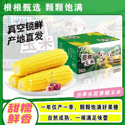 开源保丰东北黄糯玉米真空装 200g8/10个