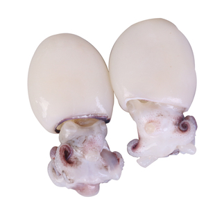 墨鱼仔冷冻生鲜新鲜乌贼墨鱼小墨鱼仔商用三去目鱼仔海鲜水产鲜活