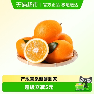 江昊阳正宗重庆奉节脐橙