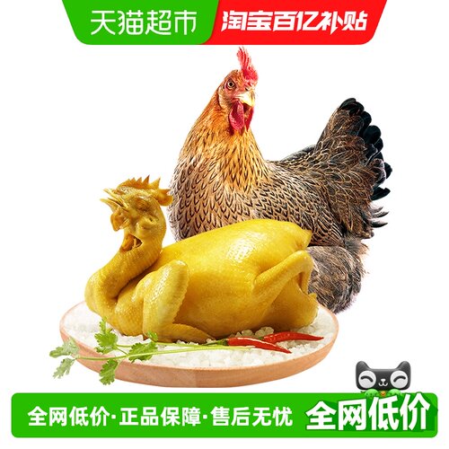 天农地标咸香清远鸡地道广府美食