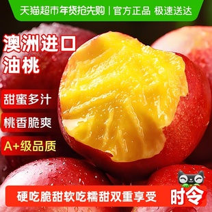 澳洲进口黄油桃子脆甜雪水蜜小冬桃新鲜水果时令当季孕妇