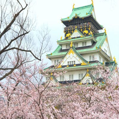 0操心[含机票]日本旅游大阪自由行4天3晚天天出发可住京都 个签