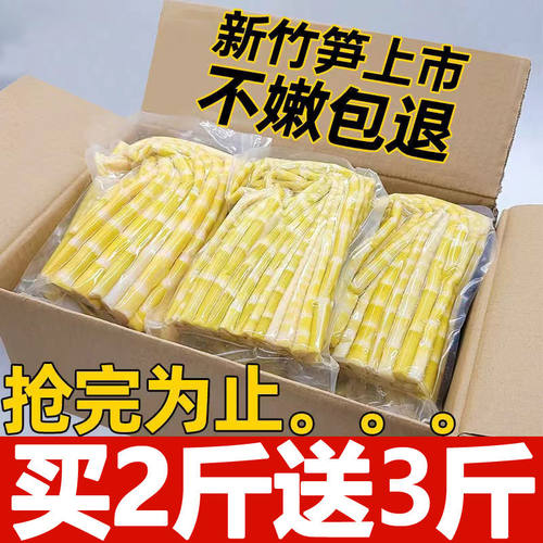 竹笋新鲜嫩笋尖野生江西笋子清水小竹笋罗汉笋串串笋商用火锅笋