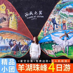 西藏旅游拉萨日喀则珠峰大本营四日游羊湖纳木错圣象天门4天3晚游