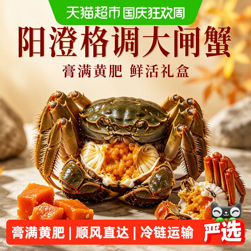 阳澄格调大闸蟹全母蟹礼盒