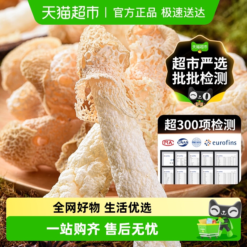 织金竹荪特级超大肉厚