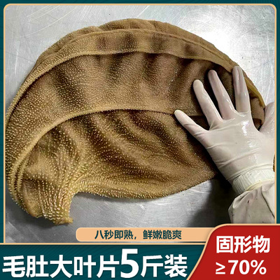 毛肚火锅食材新鲜包邮5斤装重庆批发大叶片涮牛肚专用牛百叶商用