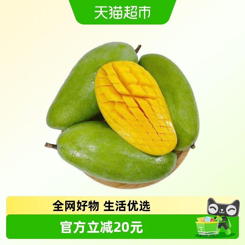现摘大青芒当季新鲜水果整箱青皮芒果香甜多汁生吃脆甜