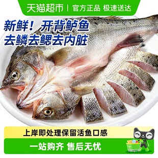 海仙部落海鲈鱼开背去鳞去腮去内脏新鲜冷冻免处理烤鱼半成品