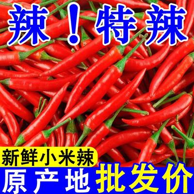 小米辣椒新鲜小米椒现摘特辣尖椒爆辣薄皮椒红皮椒朝天椒剁椒包邮