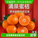 正宗涌泉蜜桔早熟宫川新鲜水果薄皮蜜橘子桔子无核当季 水果整箱
