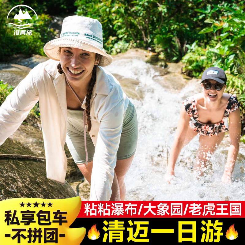 【品质日游】清迈一日游粘粘瀑布雨树半日游大象咖啡粑粑纸老虎园