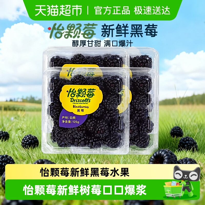 Driscoll's怡颗莓黑莓新鲜水果