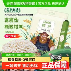 盖亚农场东北糯米圆白糯米粗粮饭杂粮米江米阴米粽子饭团五谷杂粮