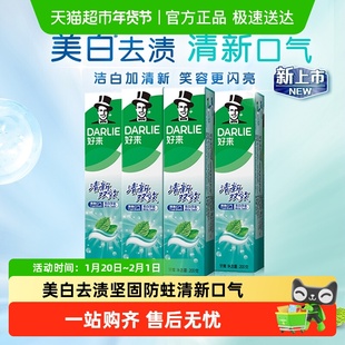 DARLIE好来(原黑人)牙膏清新双效200g*4支套装大容量清新口气
